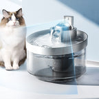 Chat à côté de la fontaine à eau sans fil