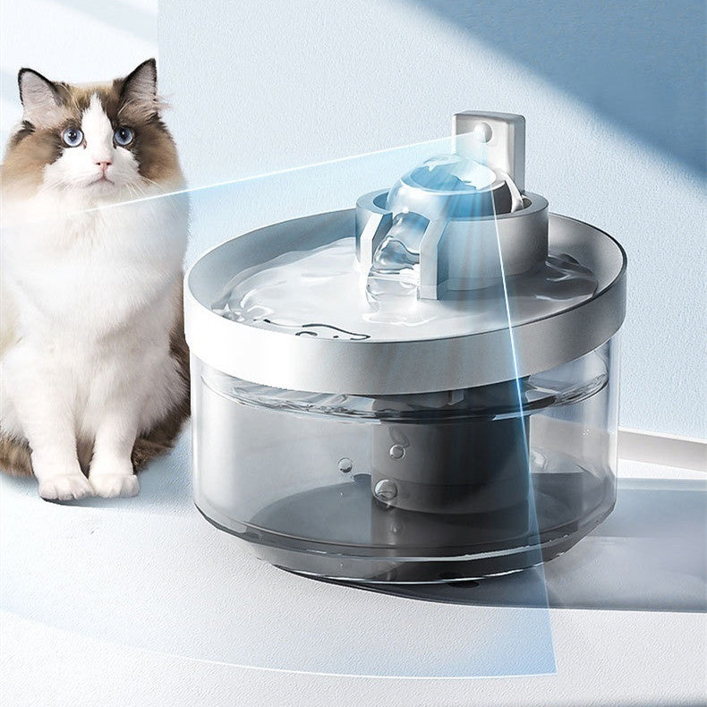 Chat à côté de la fontaine à eau sans fil