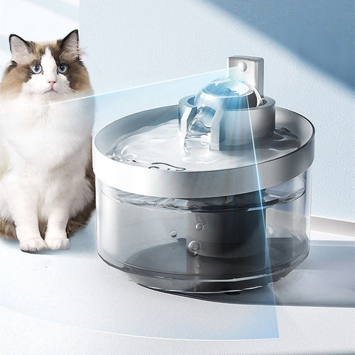 Chat à côté de la fontaine à eau sans fil